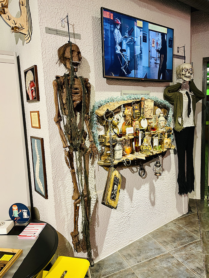 Черепа и скелеты - музей в Зеленоградске - littlekaliningrad