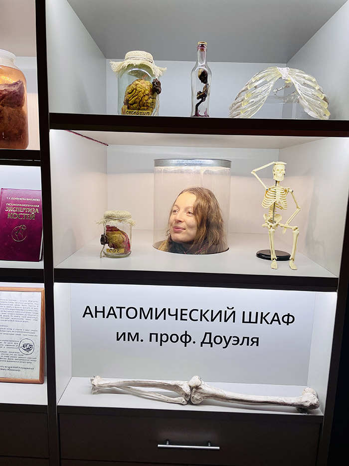 Черепа и скелеты музей в Зеленоградске - littlekaliningrad